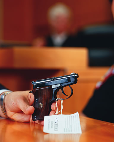 L Po0607 Point Of Law