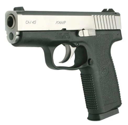 CW45 45 ACP view 2