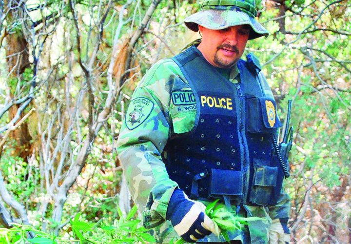 Chronic Confusion Web 1