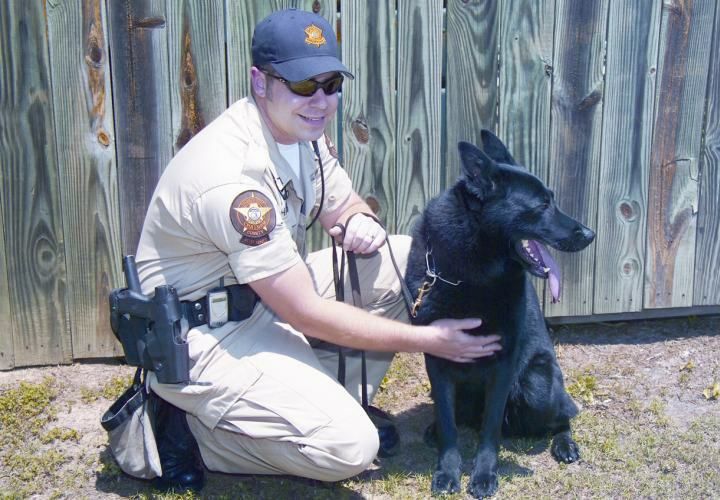 Sometimes it’s hard to know what’s new in the world of K-9 gear. So to catch you up on the cool stuff that’s out there, here’s a look at some of the newest and most useful products available for your loyal partner in crime fighting.