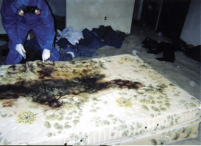 Trauma scene cleanup is not only a dirty job; it’s also a hazardous one.