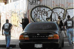 Photo courtesy of Lou Savelli.