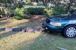 Photo: Alachua County Sheriff's Office.