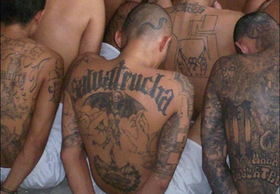 Members of the MS-13 gang in prison. Photo: FBI