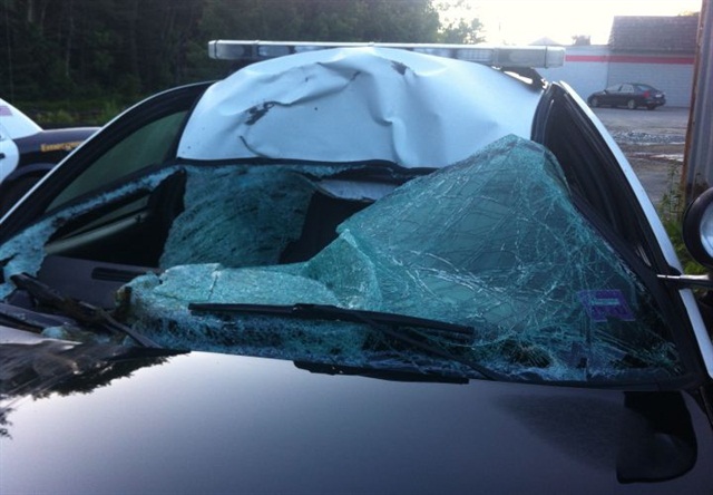 Photo courtesy of Lynne Doucette.