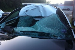 Photo courtesy of Lynne Doucette.