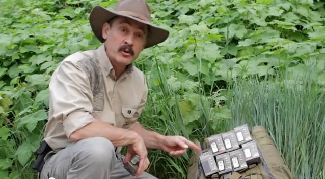 Video Brite Strike Apals