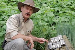 Video Brite Strike Apals