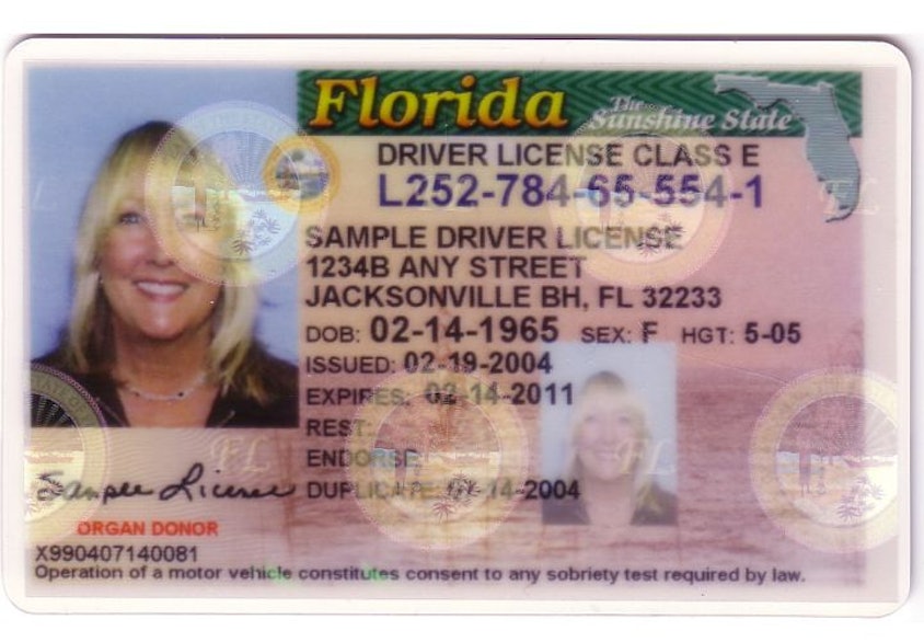 Here's what the new Florida driver's license looks like