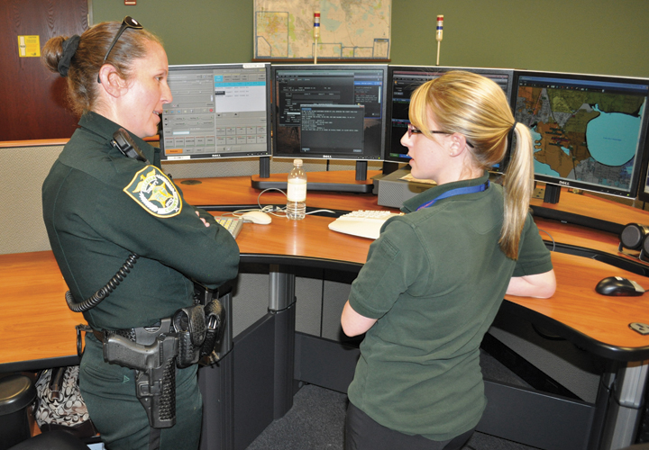 Photo courtesy of Amaury Murgado.