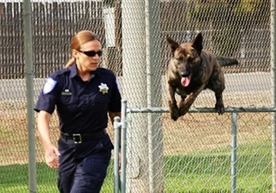 Officer Linda Matthew is the Sacramento (Calif.) Police Department’s first female K-9 handler. Photo: Sacramento (Calif.) PD