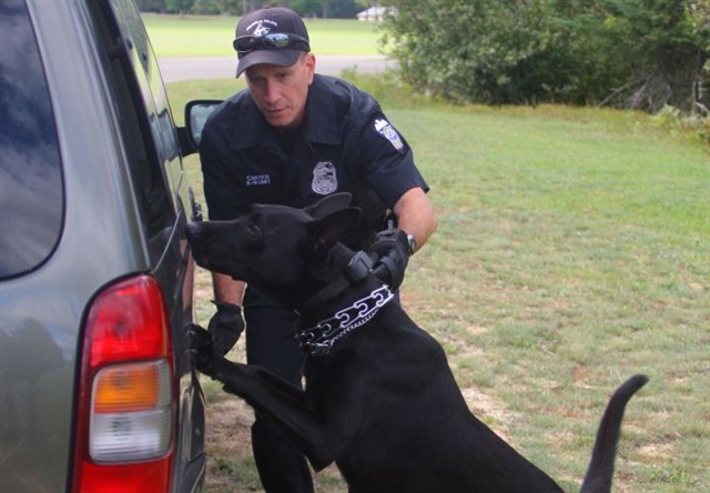 Photo by John Johnston, Ace K9.