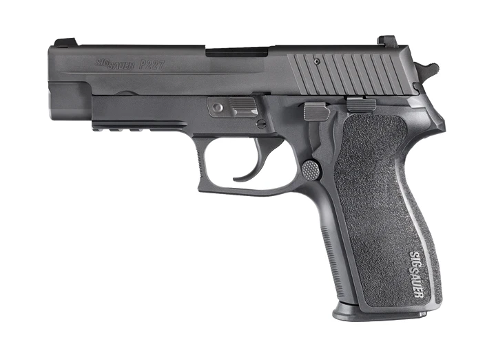 P227 45 ACP view 2