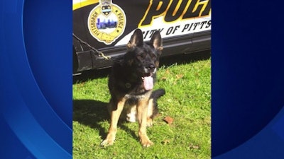 Rocco (Photo: Pittsburgh Police)