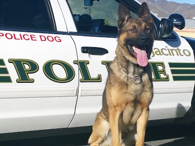 K-9 Sultan (Photo: San Jacinto PD)