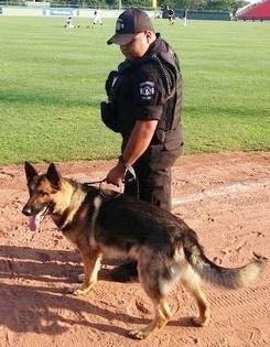 Holbrook police dog Bo with his handler and partner, officer Joshua Knowlton. (Photo: Holbrook PD)