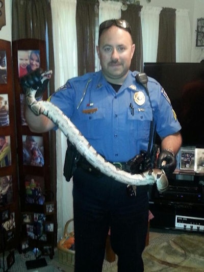 Cpl. Shaun Cobb with the snake he pulled off of a woman's arm. (Photo: Mount Vernon PD)