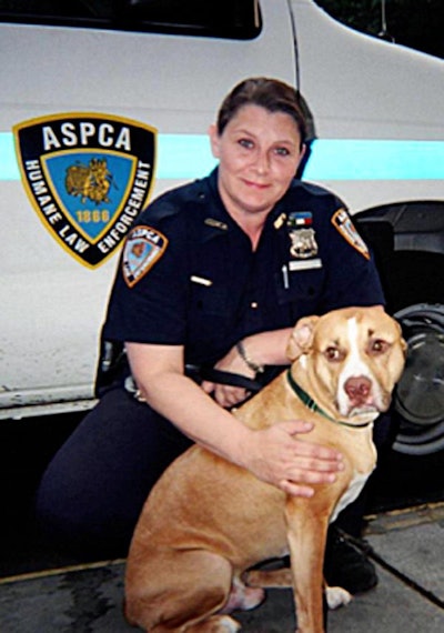 Diane DiGiacomo, 52, died of breast cancer caused by inhaling 9/11 fumes as she rescued dogs and cats near Ground Zero. (Photo: NY ASPCA)
