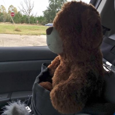 The little girl's teddy bear riding shotgun in Officer Josh McConnell's patrol car. (Photo: Facebook)