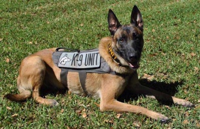 Smith County (TX) Deputy Constable K-9 Ogar (Photo: Facebook)