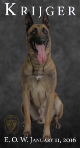 Norfolk PD K-9 Krijger was killed in a barricade incident Sunday. (Photo: Facebook)