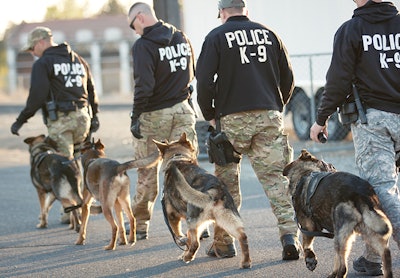 K-9 handlers at Spokane PD usually train multiple dogs during their tenure, building a wealth of experience as a unit over time. Photo: Carla Blazek.
