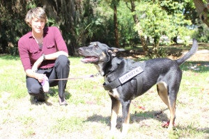 Shelter dog GIA is now an electronics finding K-9 for the Manatee County (FL) Sheriff's Office. (Photo: Bishop Animal Shelter)