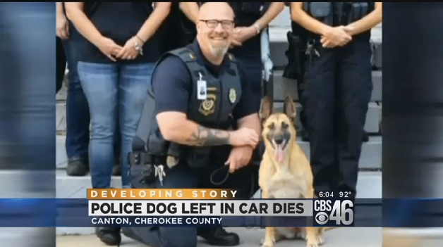 Video: Georgia K-9 Dies After Being Left In Hot Car | Police Magazine