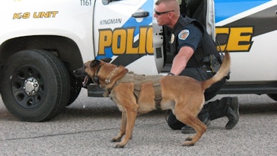 Kingman, AZ, police K-9 Amigo died Saturday after suffering heat exhaustion last week while helping search for lost hikers. (Photo: Kingman PD)