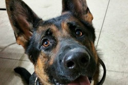 Canton Police Department K-9 Jethro was shot and killed in January by Kelontre D. Barefield. (Photo: Canton PD via Facebook)