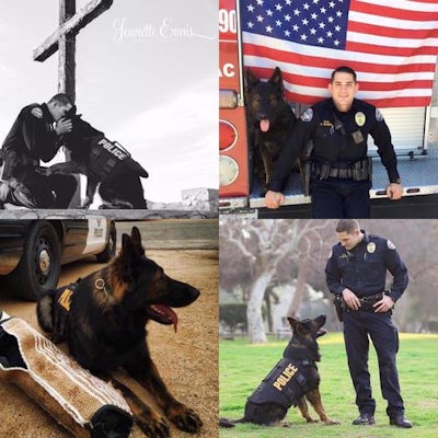 California City (CA) Police Department K-9 Ty died Wednesday from an injury that occurred on duty earlier this year. (Photo: California City PD/Twitter)