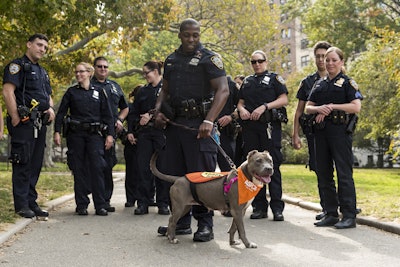 Rescue dog Jamie enjoyed a special outing with the NYPD to encourage animal adoption. (Photo: ASPCA)