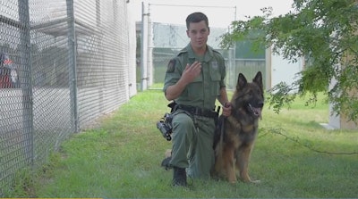 Baltimore County police K-9 officer Stephen Roesler says dog handlers should have Narcan to counteract fentanyl exposure and its potentially deadly effects on the animals. (Photo: Baltimore Sun video screen shot)