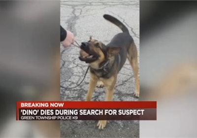 M 2017 09 26 1230 K9 Dies During Kidnapping Search Dino Pic