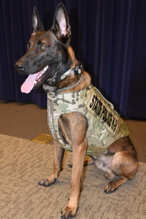 New York State Police K-9 Will was accidentally killed Monday when a trooper fired at another dog that was attacking. (Photo: New York State Police)