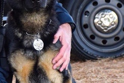 K-9 Jax was stabbed to death. (Photo: Sunnyvale Department of Public Safety)