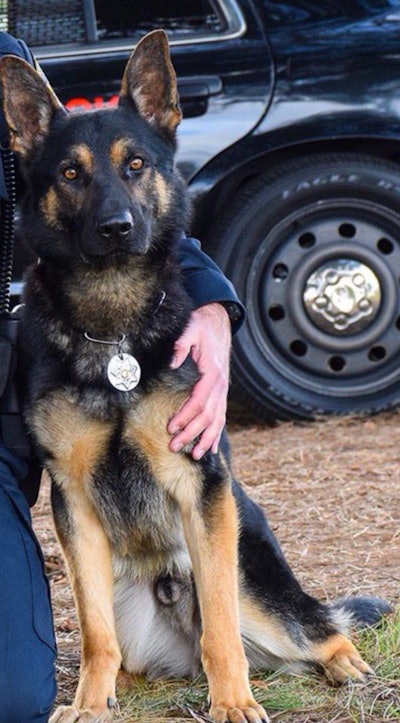 K-9 Jax was stabbed to death. (Photo: Sunnyvale Department of Public Safety)