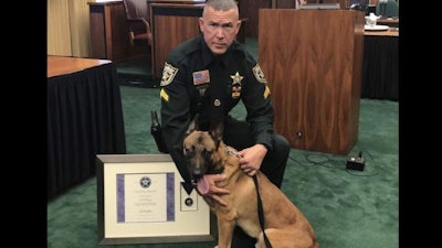 Palm Beach County Sheriff's Office K-9 Casper received a 'purple heart' for taking a bullet meant for his handler. (Photo: Palm Beach SO)