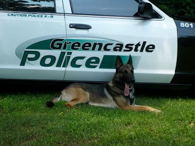 Greencastle (PA) Police Department K-9 Rony was struck by a vehicle and killed Wednesday. (Photo: Greencastle PD)