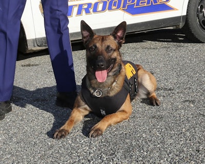 K-9 Helo was fatally shot by a fleeing suspect, who was found guilty of harming a police dog. (Photo: Alaska State Troopers)