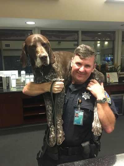 The San Francisco Police Officers Association posted on Facebook that the recently retired K-9 separated from his handler will be reunited with the officer. Image courtesy of SFPOA / Facebook.