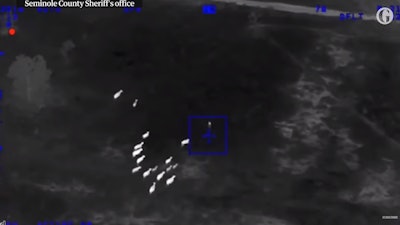 Officers with the Sanford (FL) Police Department in pursuit of a felony suspect got some help from a herd of cows in the apprehension of the fleeing woman. The entire incident was video recorded by a Seminole County Sheriff’s Office helicopter team.