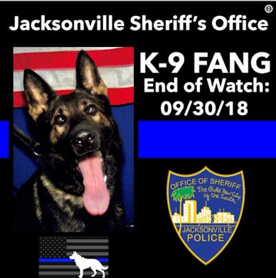 K-9 Fang was shot and killed when officers responded to a call of an armed carjacking taking place just before 0320 hours on Sunday. (Photo: Jacksonville SO/Twitter)