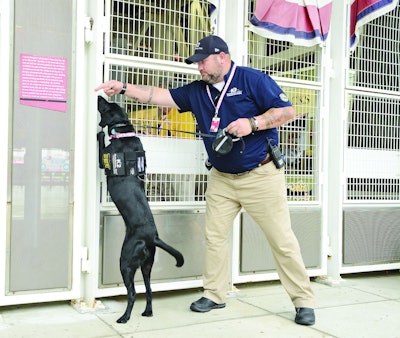 K2 Solutions is one of the largest providers of explosive detection dogs in the United States. (Photo: K2 Solutions)