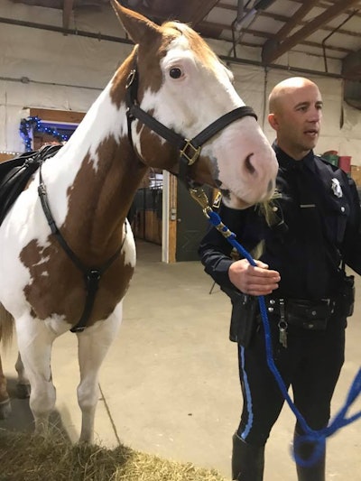 Hector Orozco—the husband of slain Omaha Police Officer Kerrie Orozco—has donated the family's horse to the Omaha Police Department's Mounted Patrol Unit. Image courtesy of Omaha PD / Facebook.