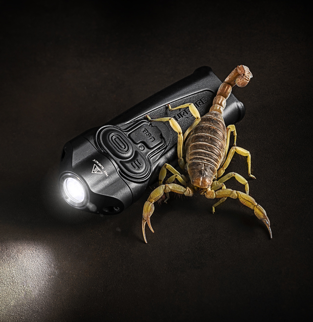 Police Stiletto Banner 640px