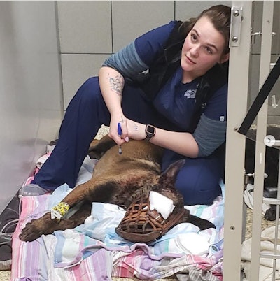 The K-9 with the DeKalb County (GA) Police Department shot during a gunfight at a traffic stop was released from a veterinary hospital on Saturday. Indi lost an eye during the confrontation, but is expected to otherwise recover.