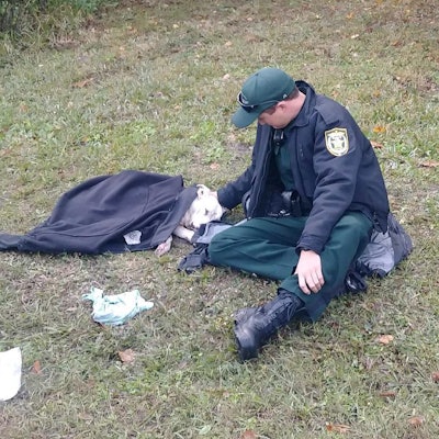 Deputy Josh Fiorelli with the Osceola County Sheriff's Office has been praised on social media for an image that was posted there showing him comforting a dog that had been hit by a car, waiting with the dog for animal control to arrive.