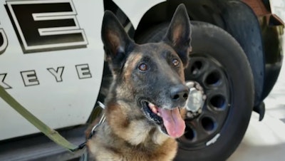 Cido had retired in 2017 and spent the remainder of his days as part of the family of his handler—Officer Dave Smith.