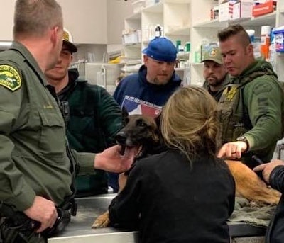 K-9 Eros was then transported to a veterinary facility, where he underwent surgery, which was considered to be successful.